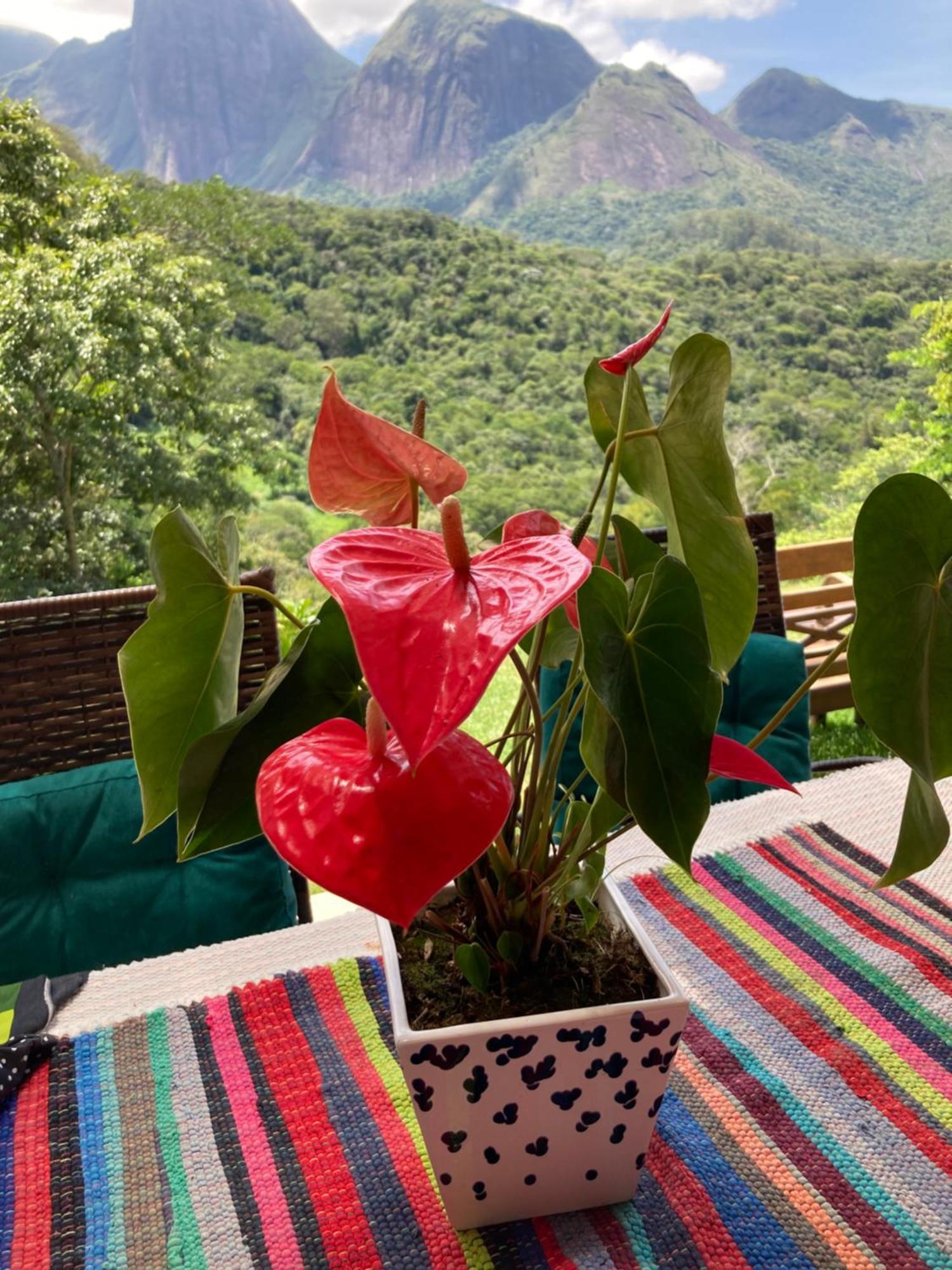 A Cabana Mais Bucolica De Araras Petrópolis Kültér fotó